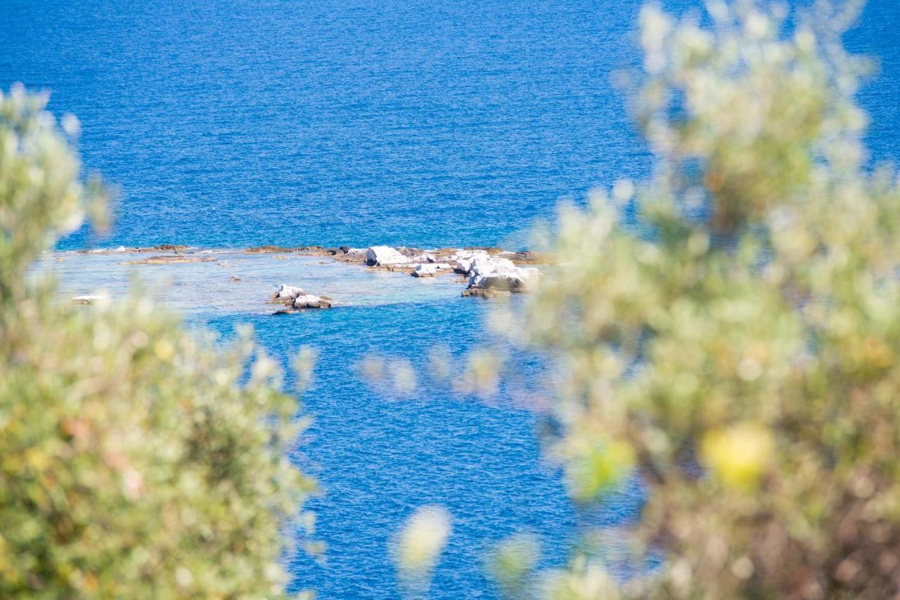 Archodissa Villa Thimonia Kültér fotó